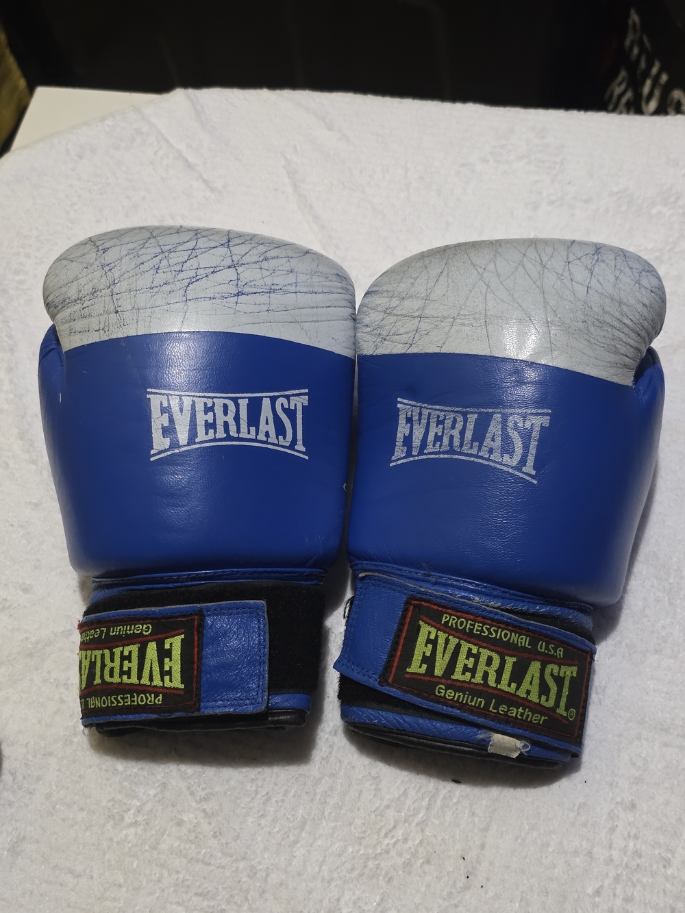 Everlast Blue and White Men's Professional Boxing Gloves